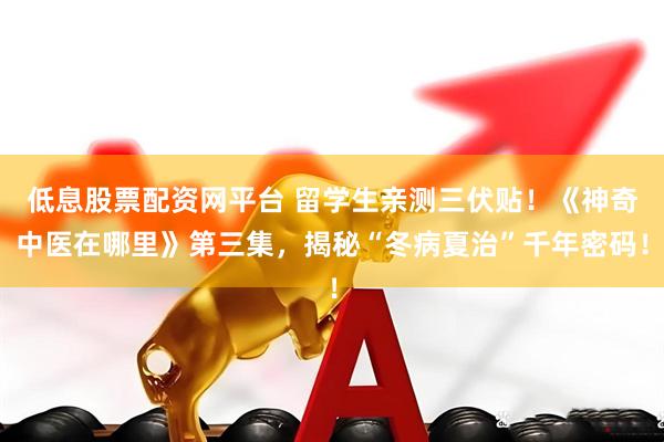 低息股票配资网平台 留学生亲测三伏贴！《神奇中医在哪里》第三集，揭秘“冬病夏治”千年密码！