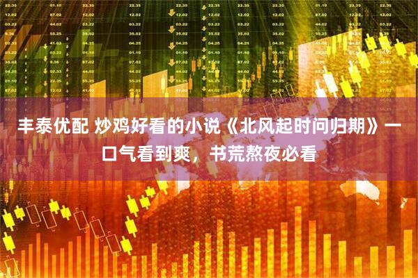 丰泰优配 炒鸡好看的小说《北风起时问归期》一口气看到爽，书荒熬夜必看