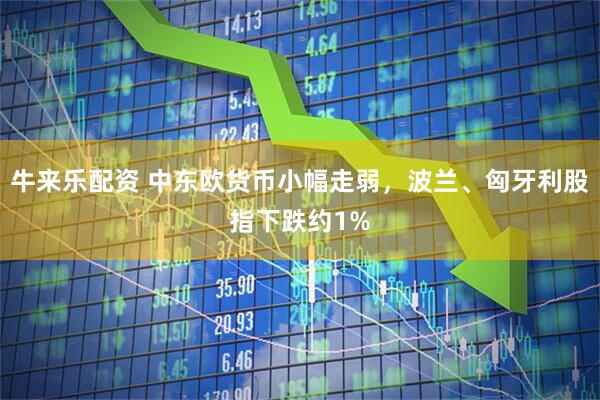 牛来乐配资 中东欧货币小幅走弱，波兰、匈牙利股指下跌约1%