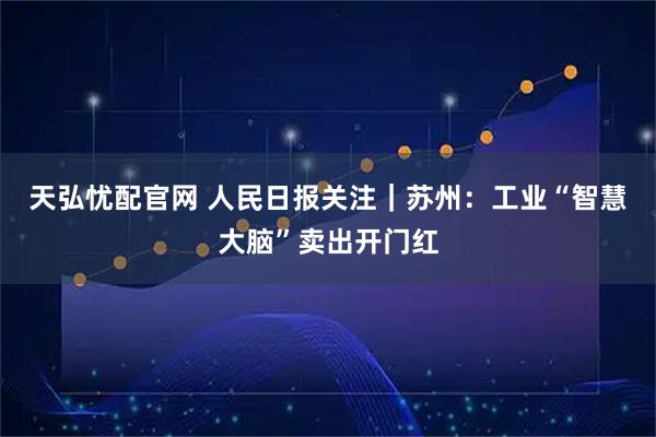 天弘忧配官网 人民日报关注｜苏州：工业“智慧大脑”卖出开门红